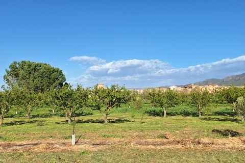 Finca i Ginestar, Tarragona, Ginestar - € 17.000 | Ref: CC842 - foto 8